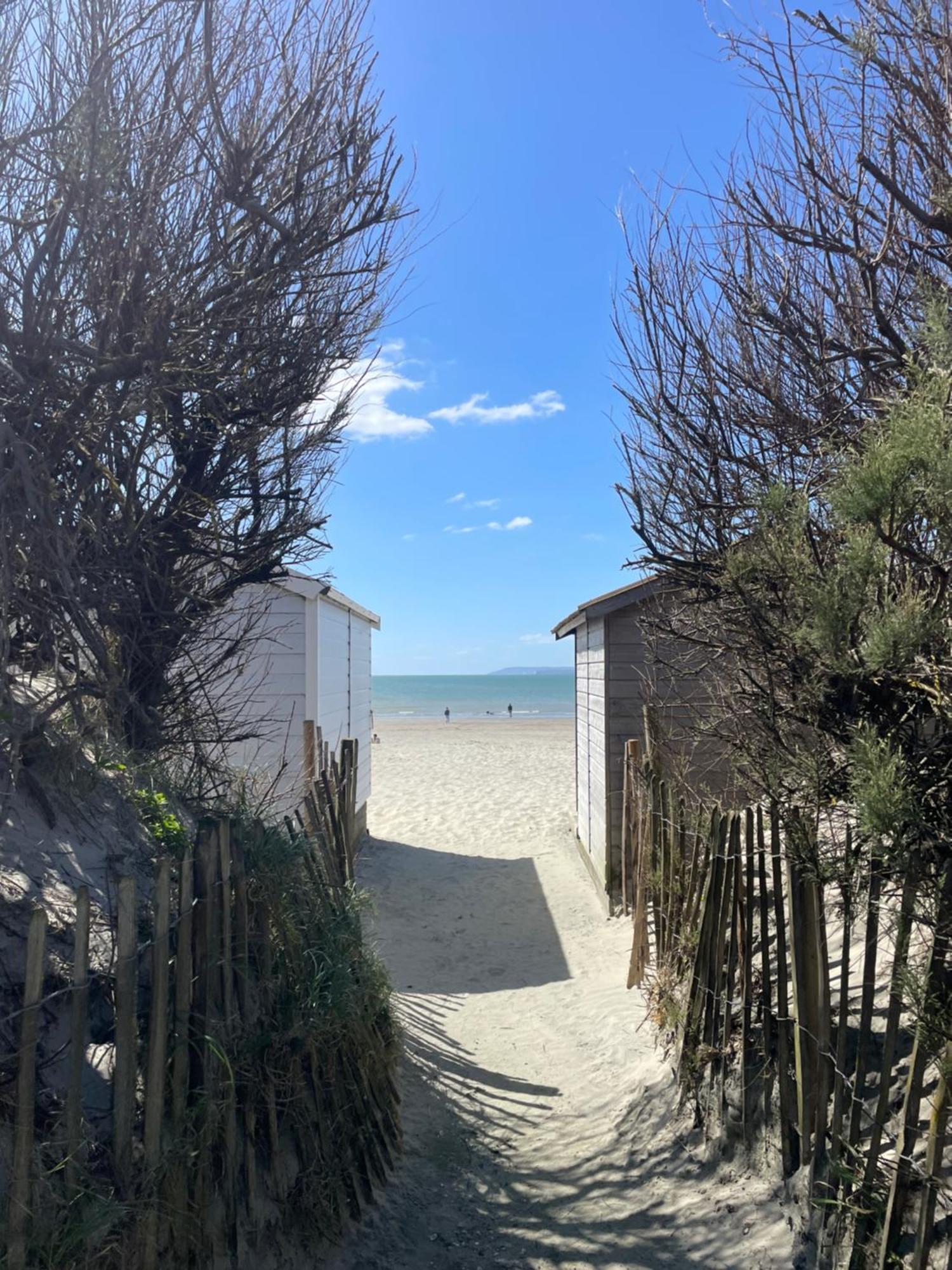 'Bramley Fall Cottage' ' On Site Ev Point - Attached Cottage,3 Separate Bedrooms -1 On Ground Level, Sleeps 6, 2 Bathrooms, Sandy Wittering Beach 8Min Drive, Rural Location, Child Friendly, Small Breed Dog Friendly, Private Parking Chichester Exteriör bild